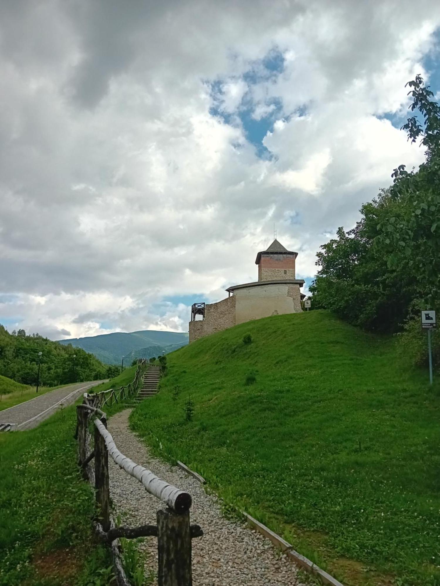 Cazare La Oana Hateg Exterior photo