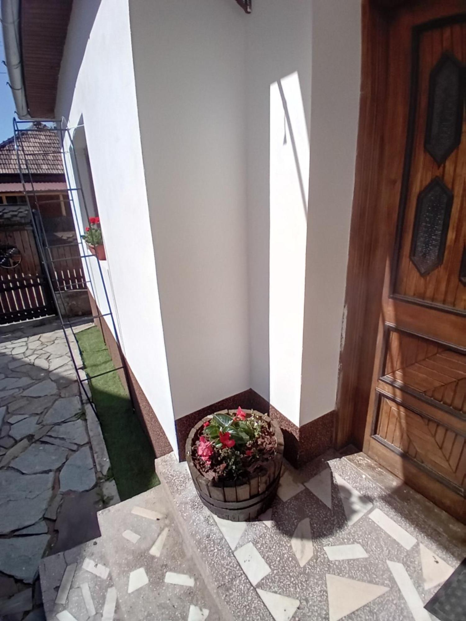 Cazare La Oana Hateg Exterior photo